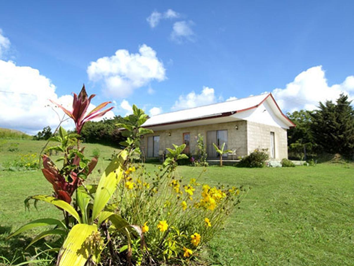 Cabanas Honu Nui Villa Hanga Roa Kültér fotó